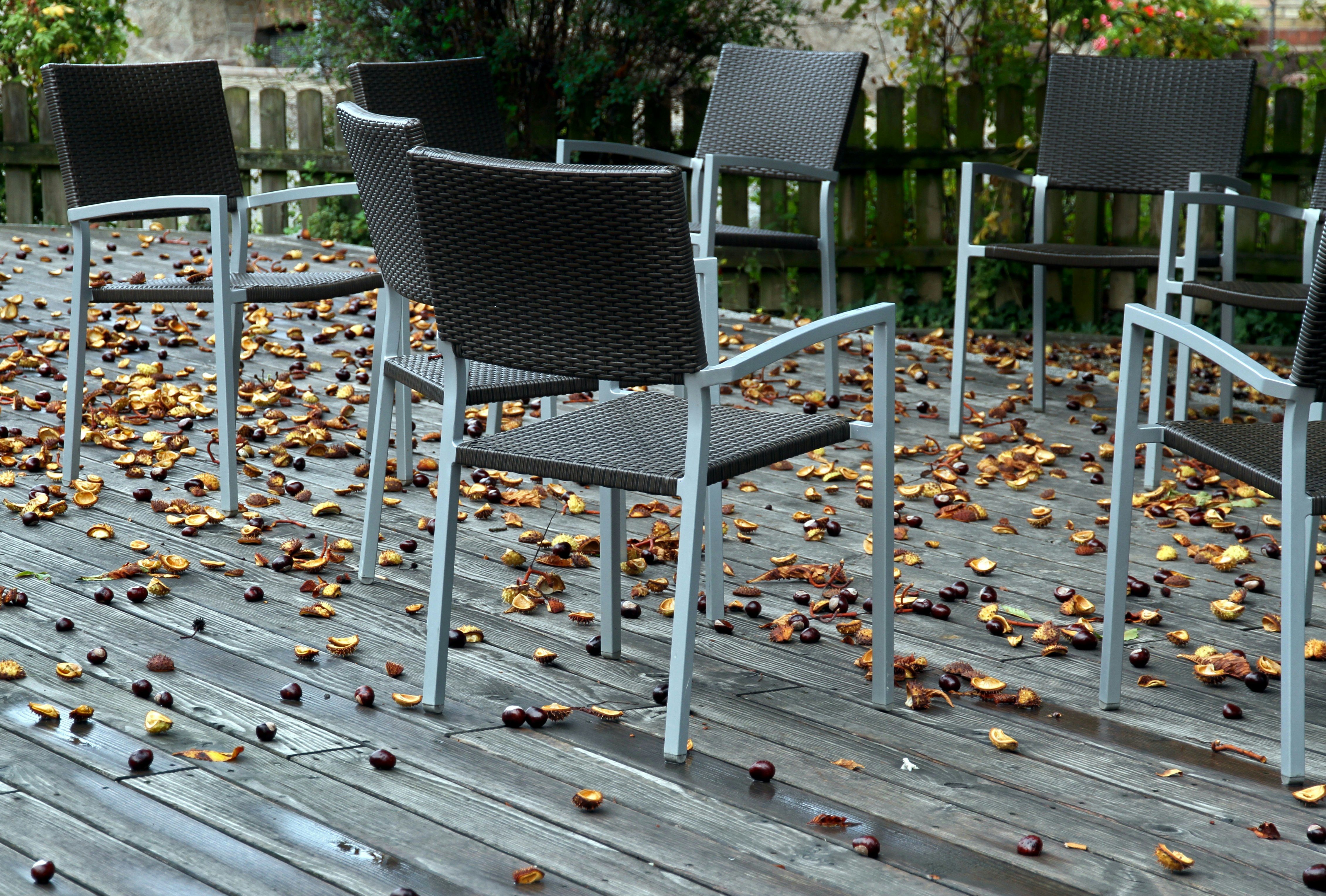 Cozy Outdoor Chair