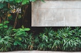 Green landscape with sustainable recycled plastic products installed.
