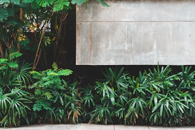 Green landscape with sustainable recycled plastic products installed.