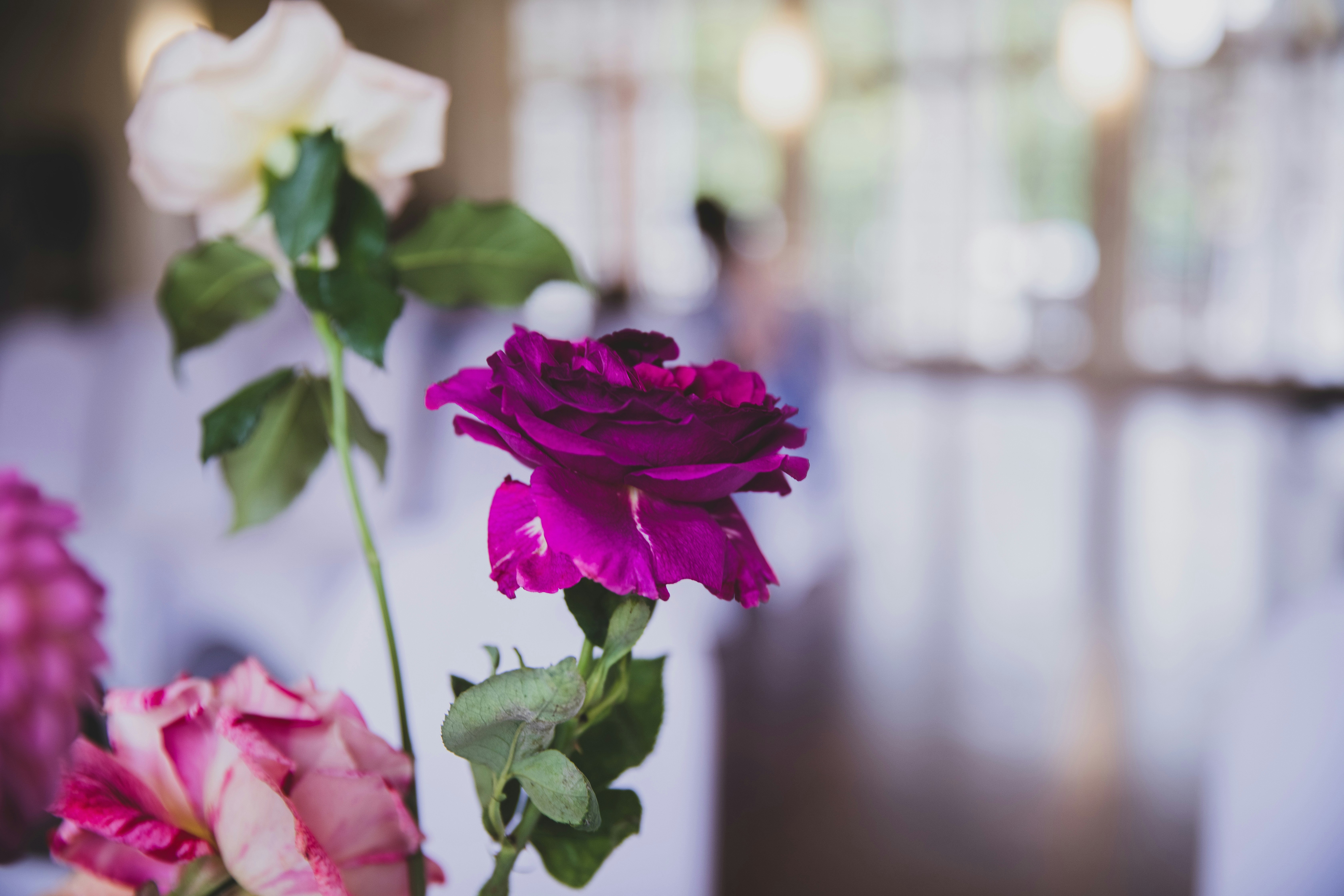 Photo by blackprojection