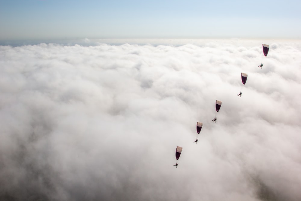 five people parachuting during daytime