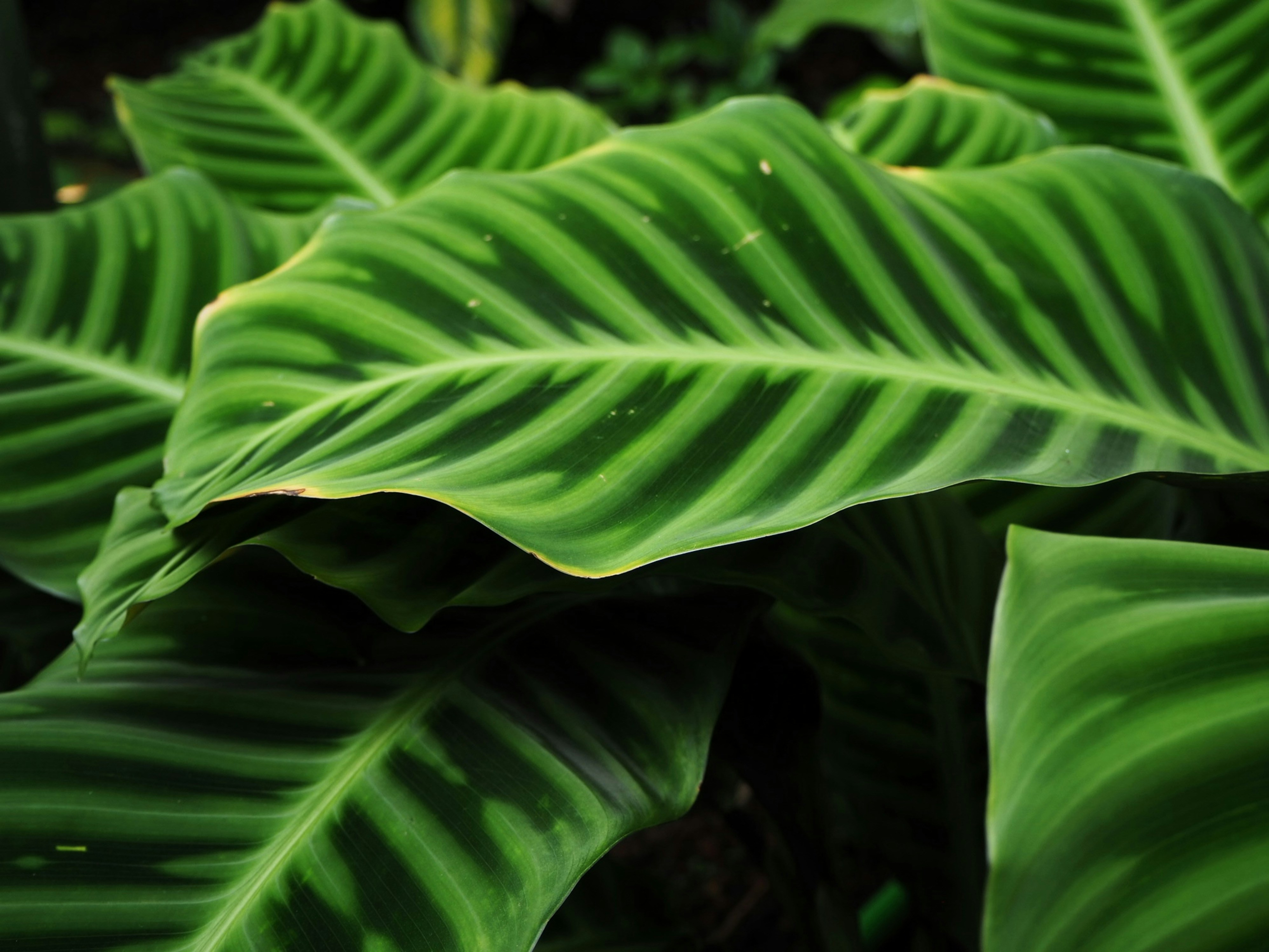 Photo by simone_denise_fischer