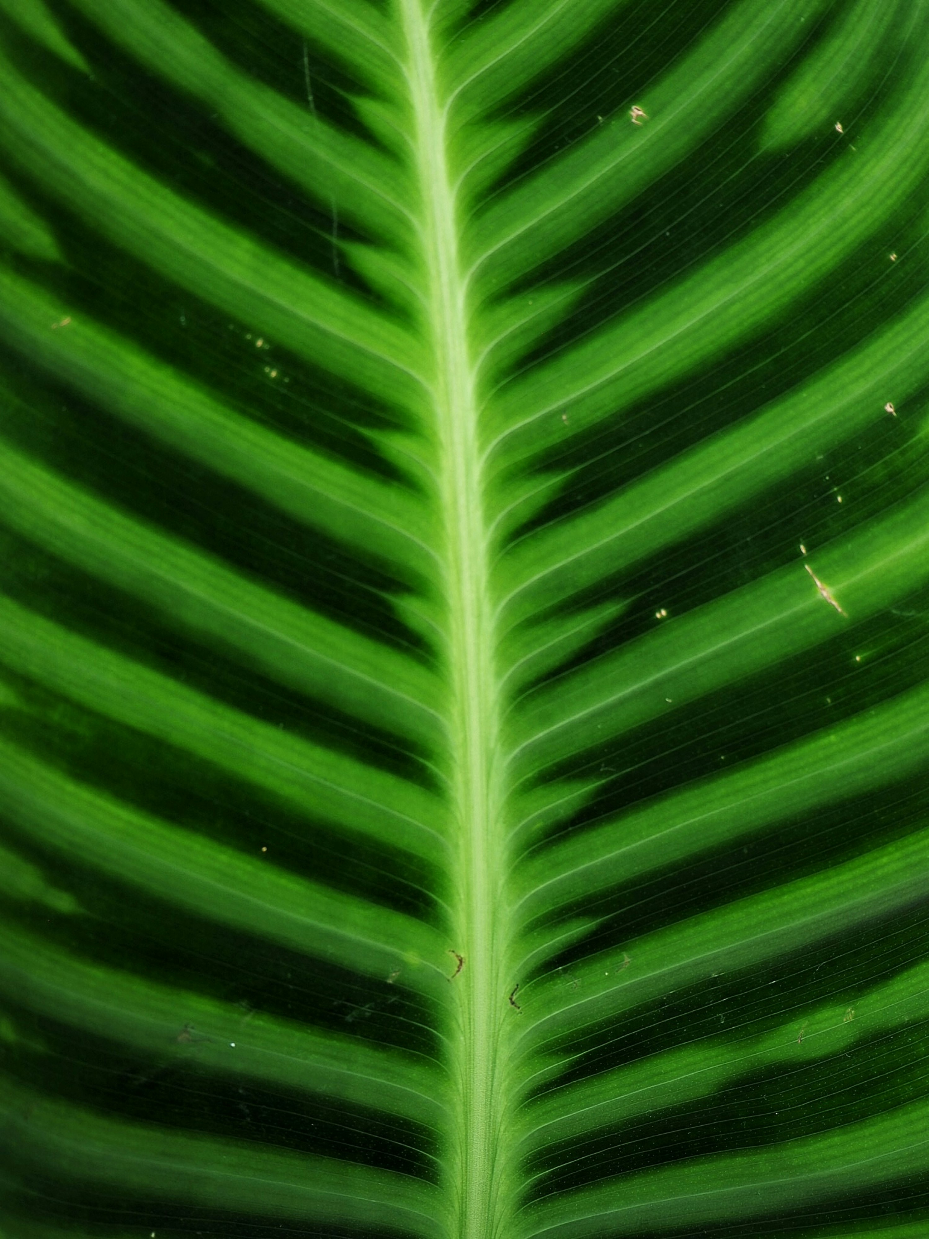 Photo by simone_denise_fischer