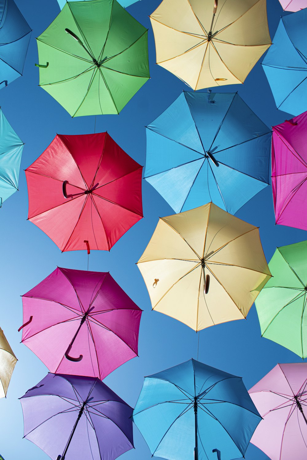 assorted color umbrella lot