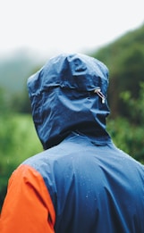 person wearing blue and orange hooded jacket standing while facing back