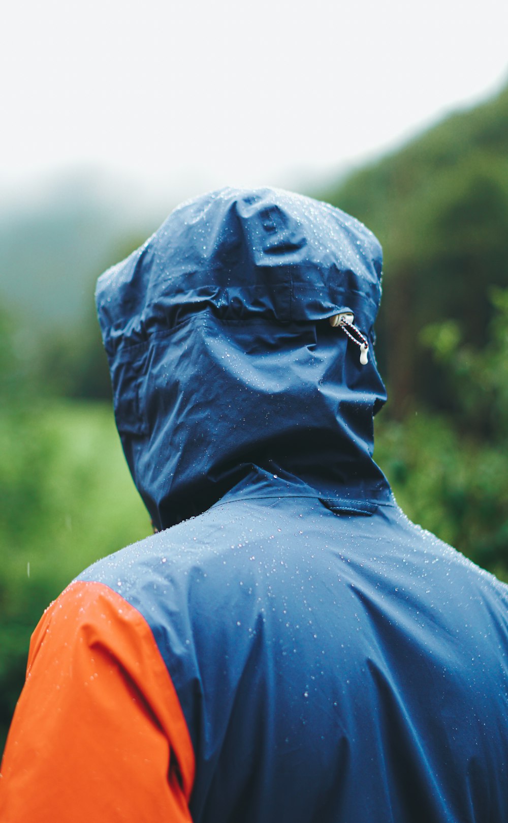 pessoa vestindo jaqueta com capuz azul e laranja em pé enquanto está de costas