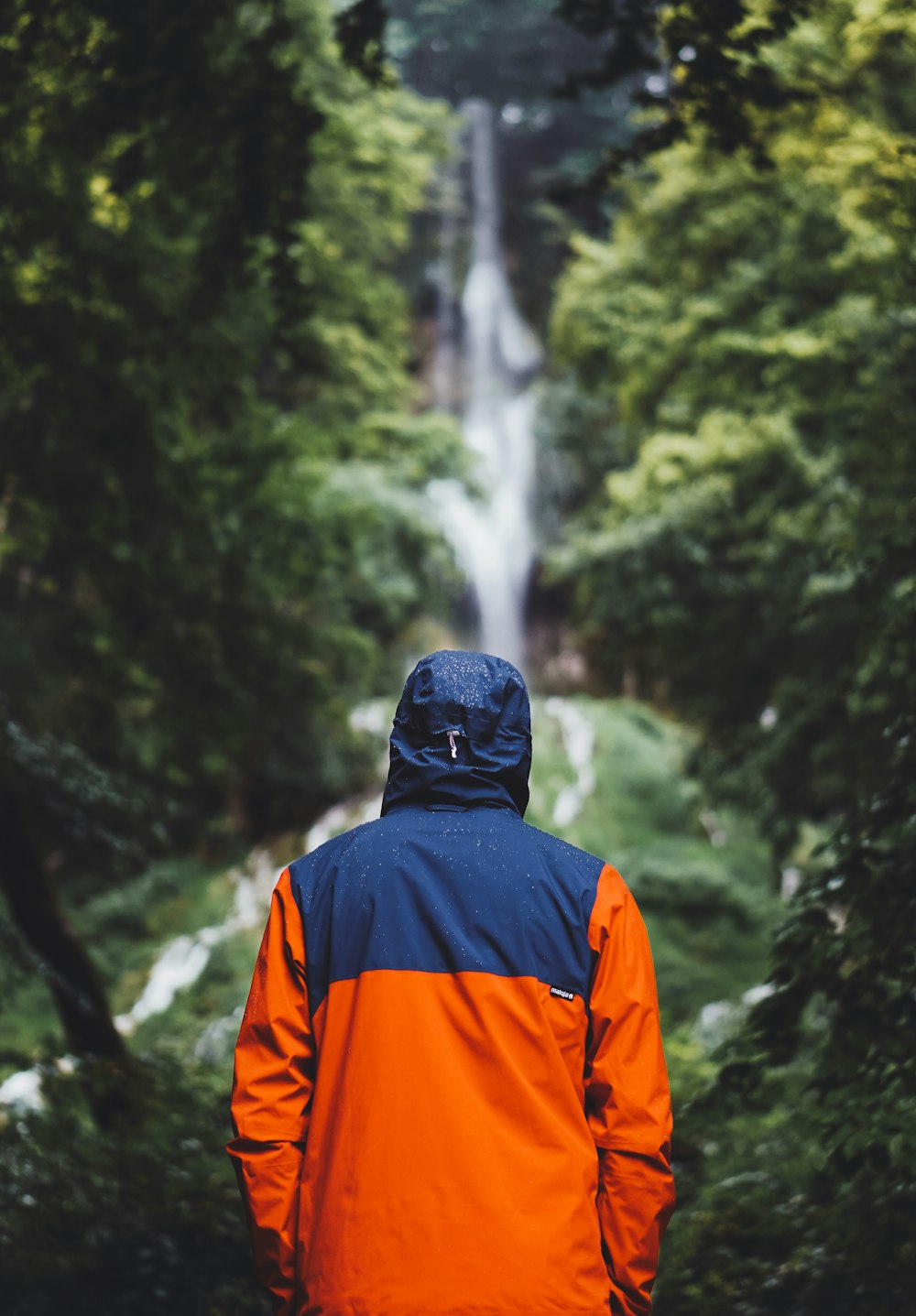 person stands near waterfalls