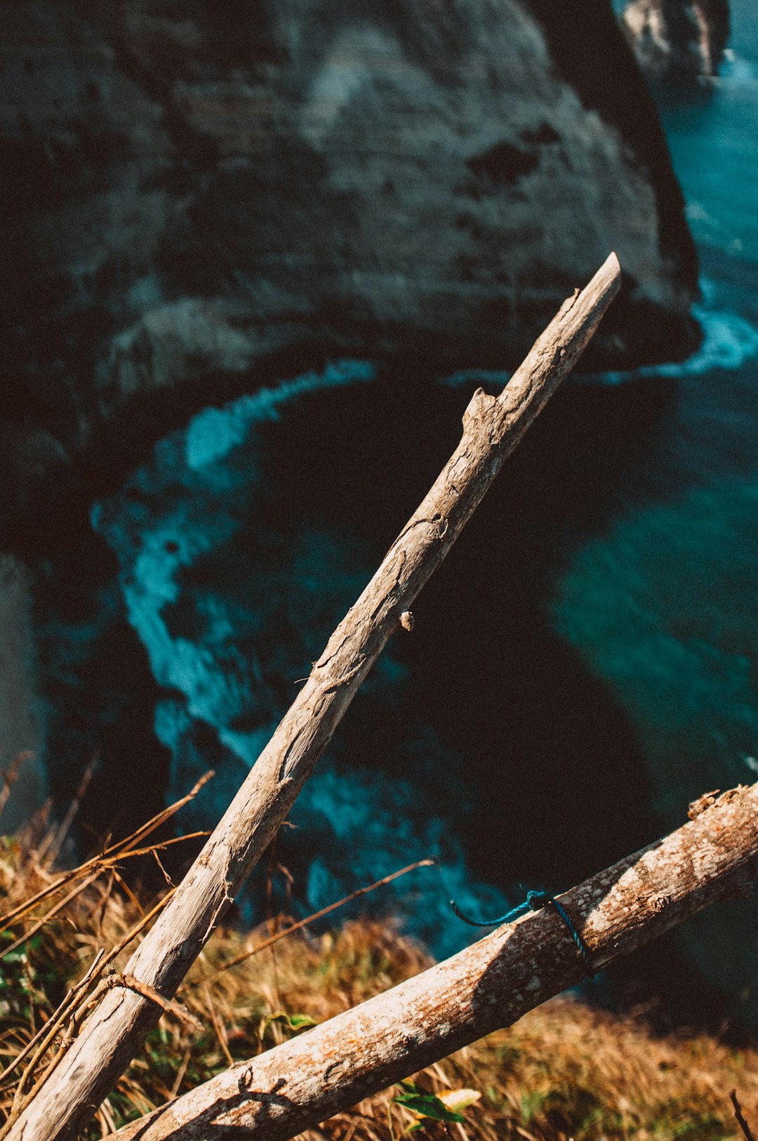 two brown wooden branches with blue sea background