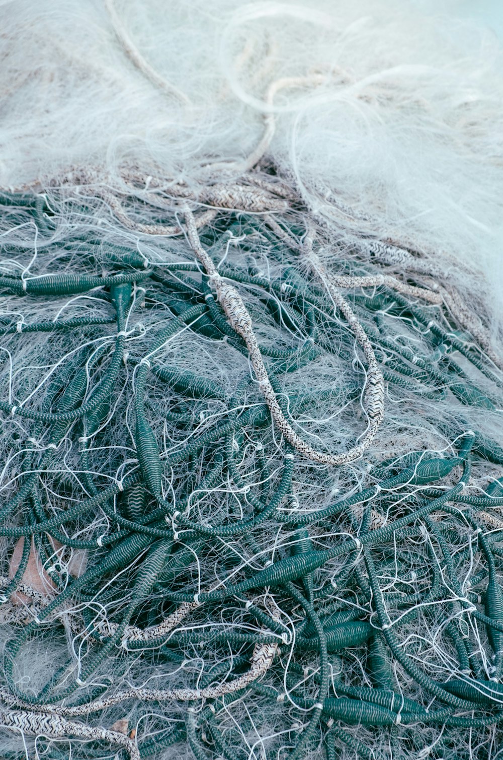 macro photography of green and white ropes