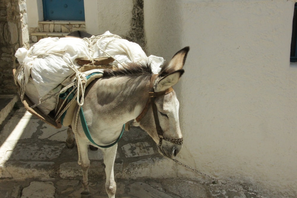 horse carrying bags of sack