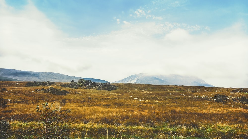 푸른 잔디와 갈색 산맥의 들판의 풍경 사진