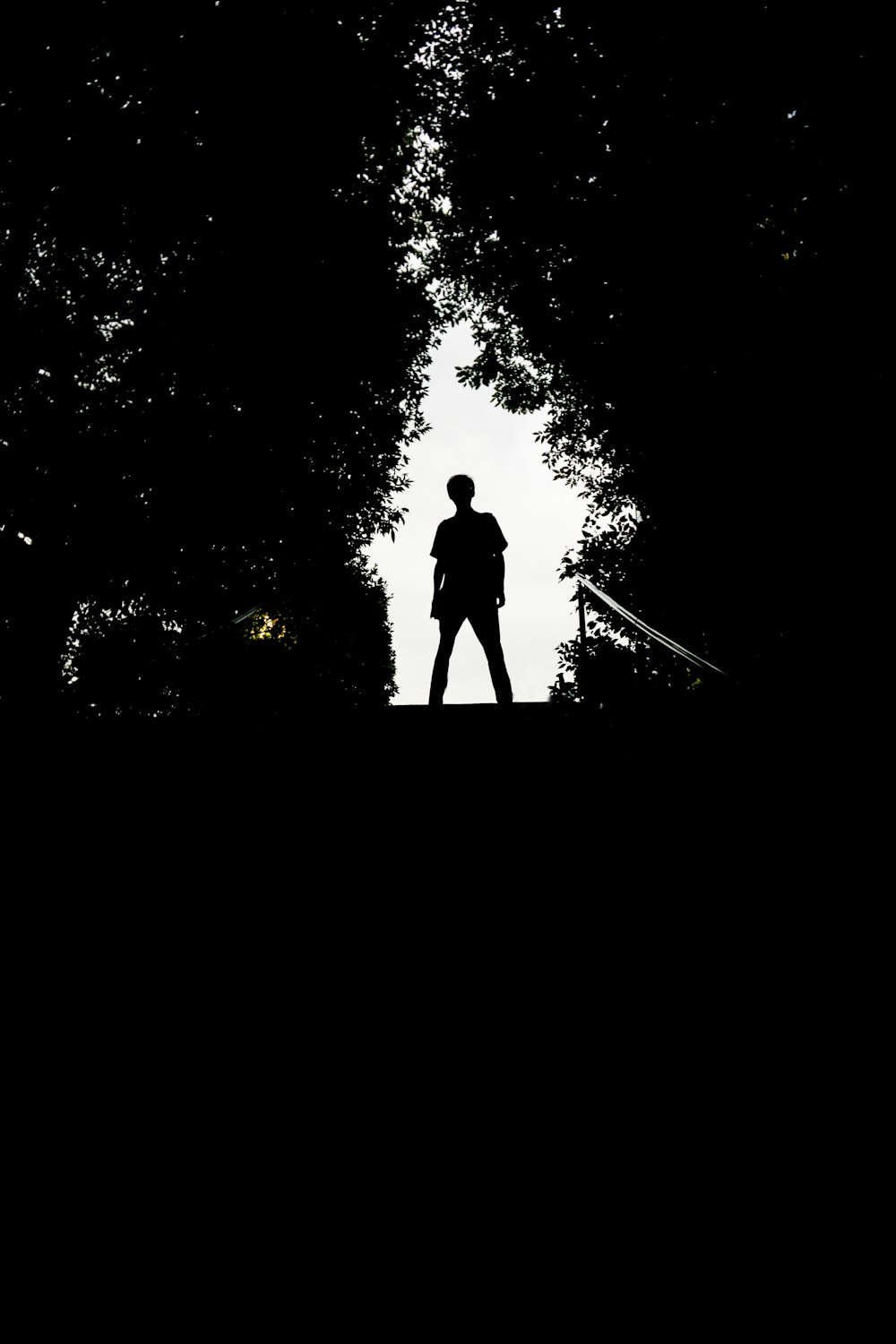 silhouette of man standing on top of stairs