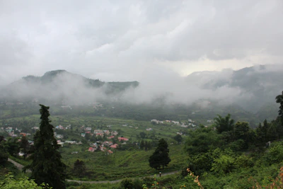A serene hidden valley bathed in soft morning light, with mist gently rolling over lush greenery.