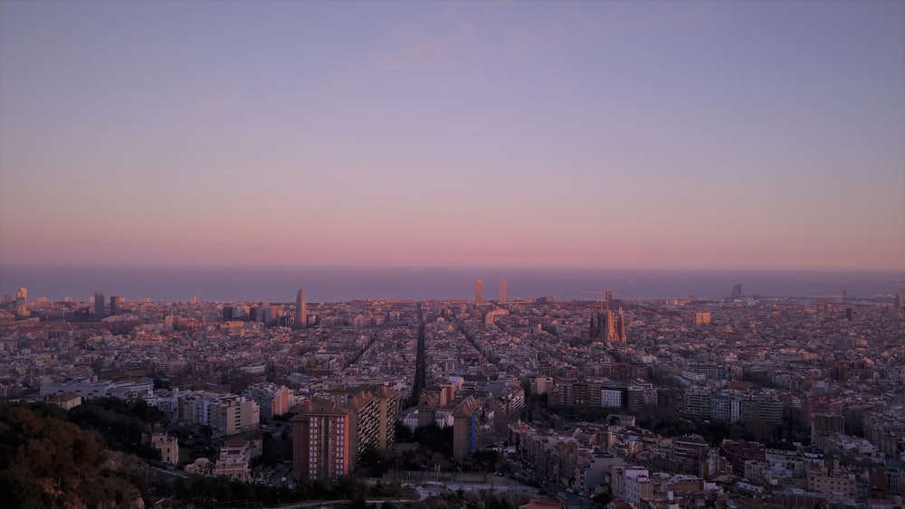 aerial photography of buildings