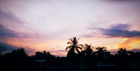 The image portrays a serene sunset with a gradient sky transitioning from pink and purple hues to a warm orange near the horizon. Silhouettes of palm trees stand prominently in the foreground, adding to the tranquil ambiance.