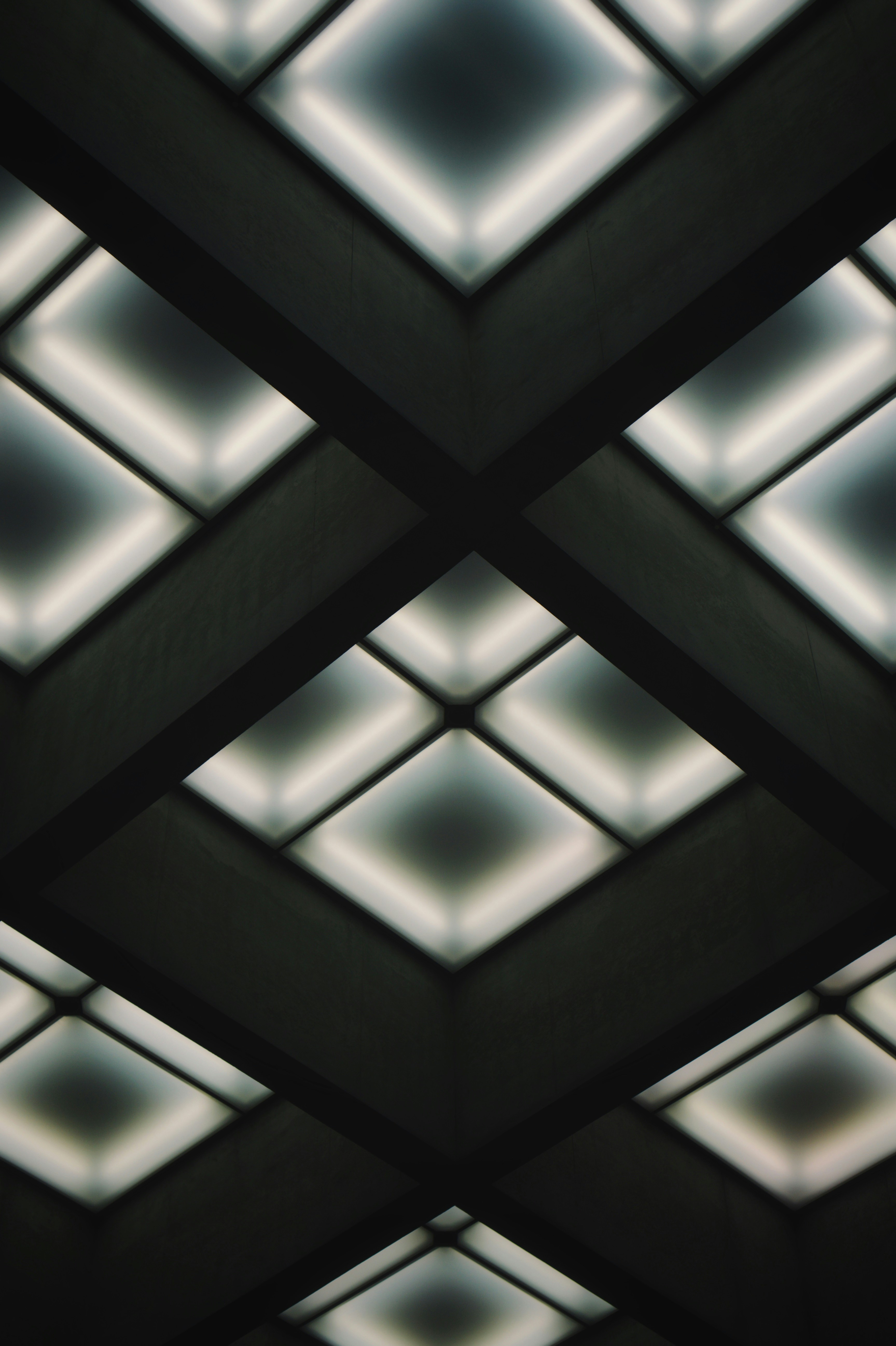 Photo by christianlue