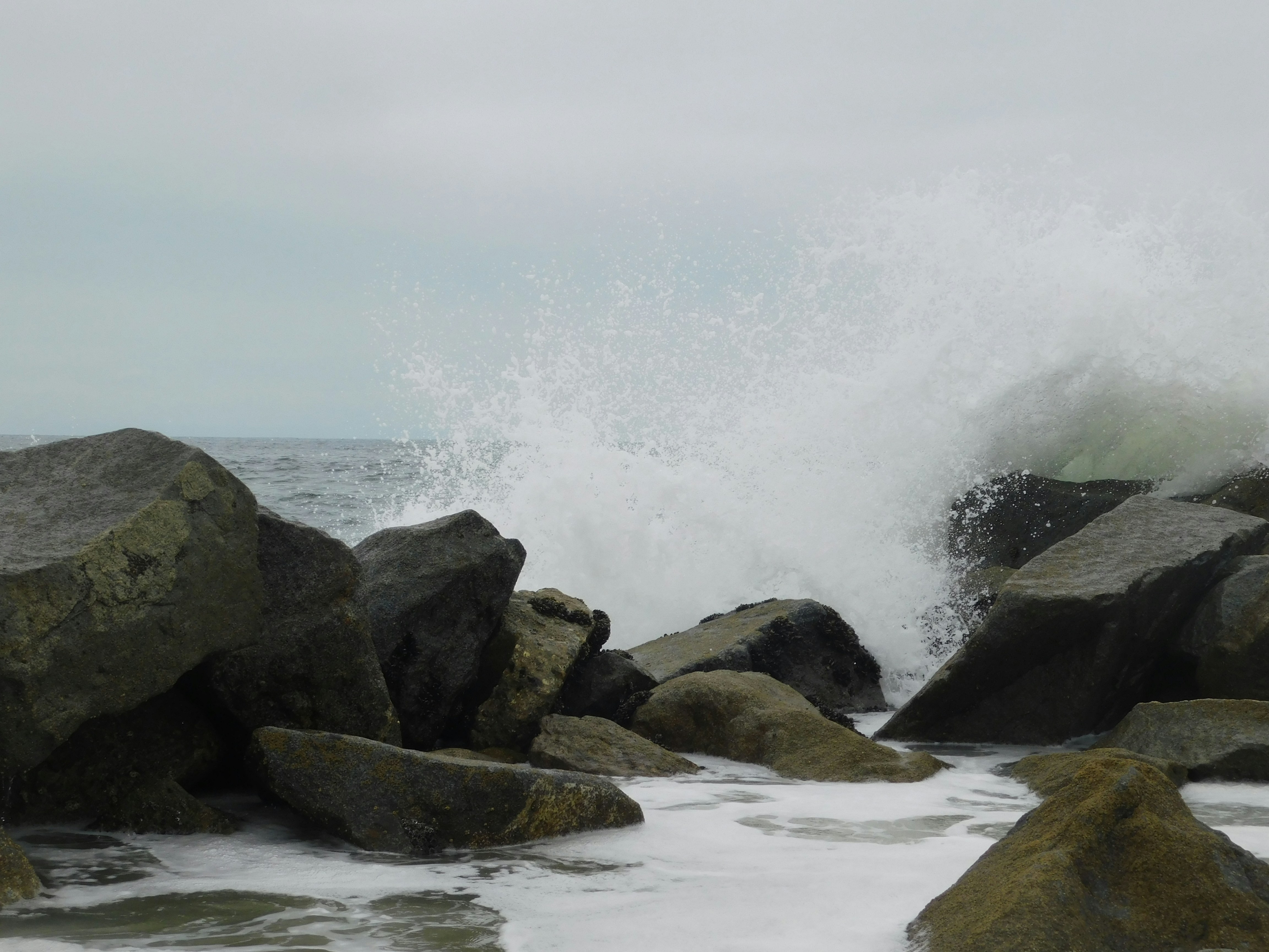 Photo by frostphotography