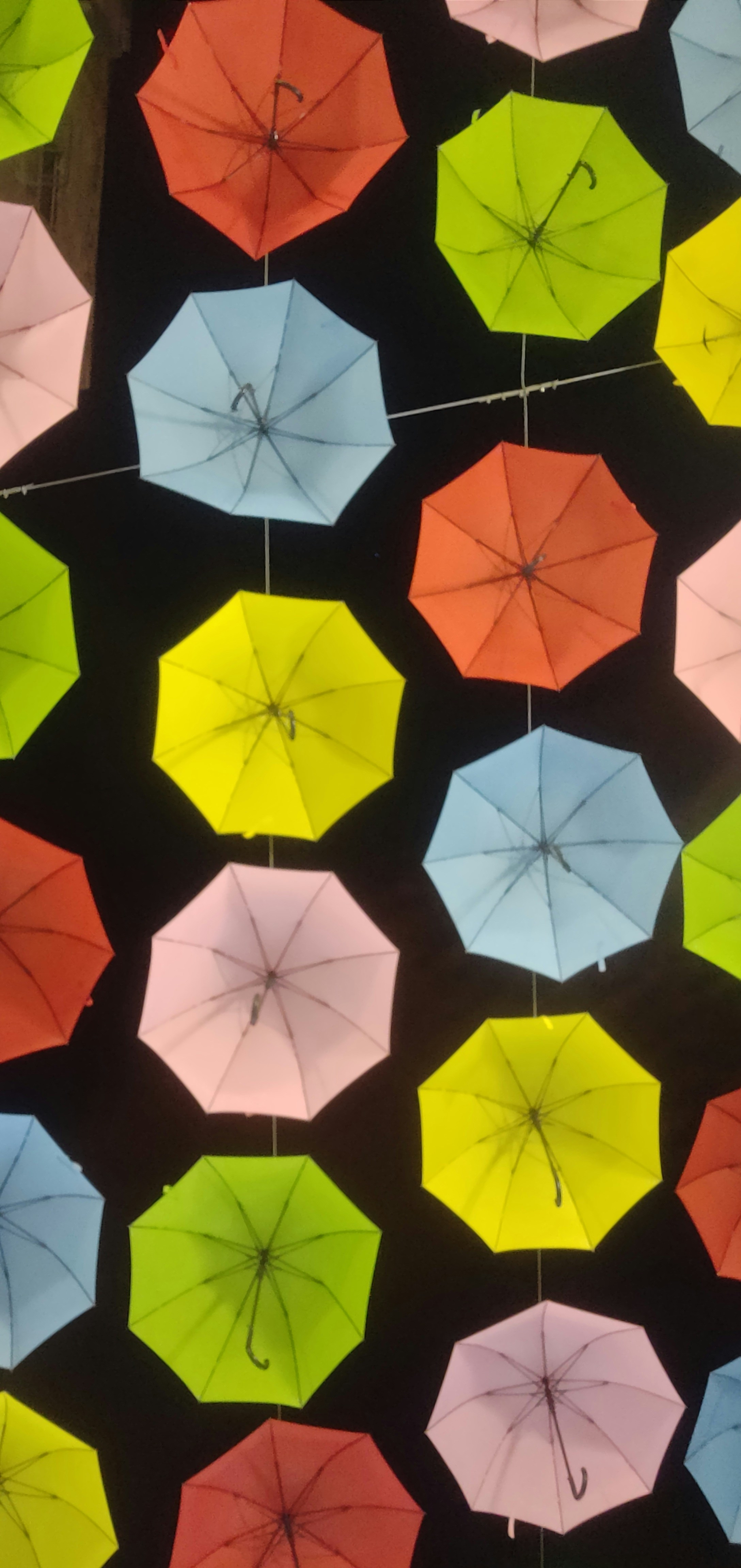 Photo by capturedbyraksha