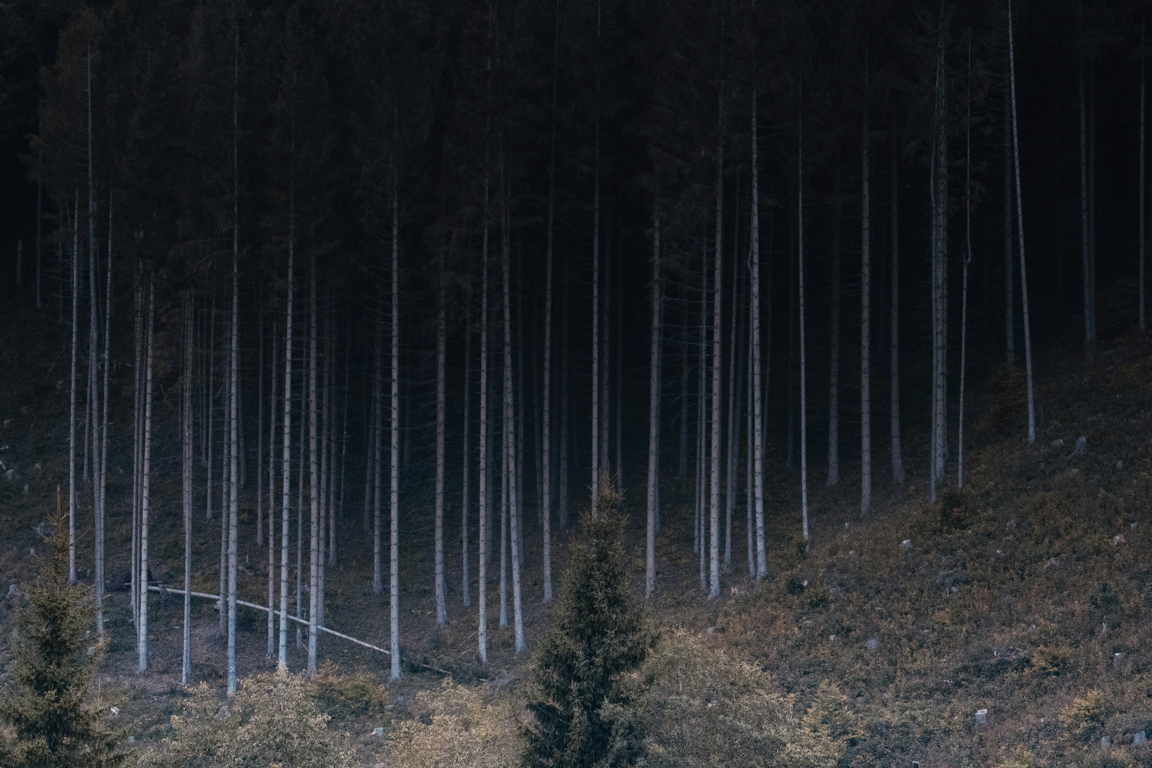 Photo by ballaschottner