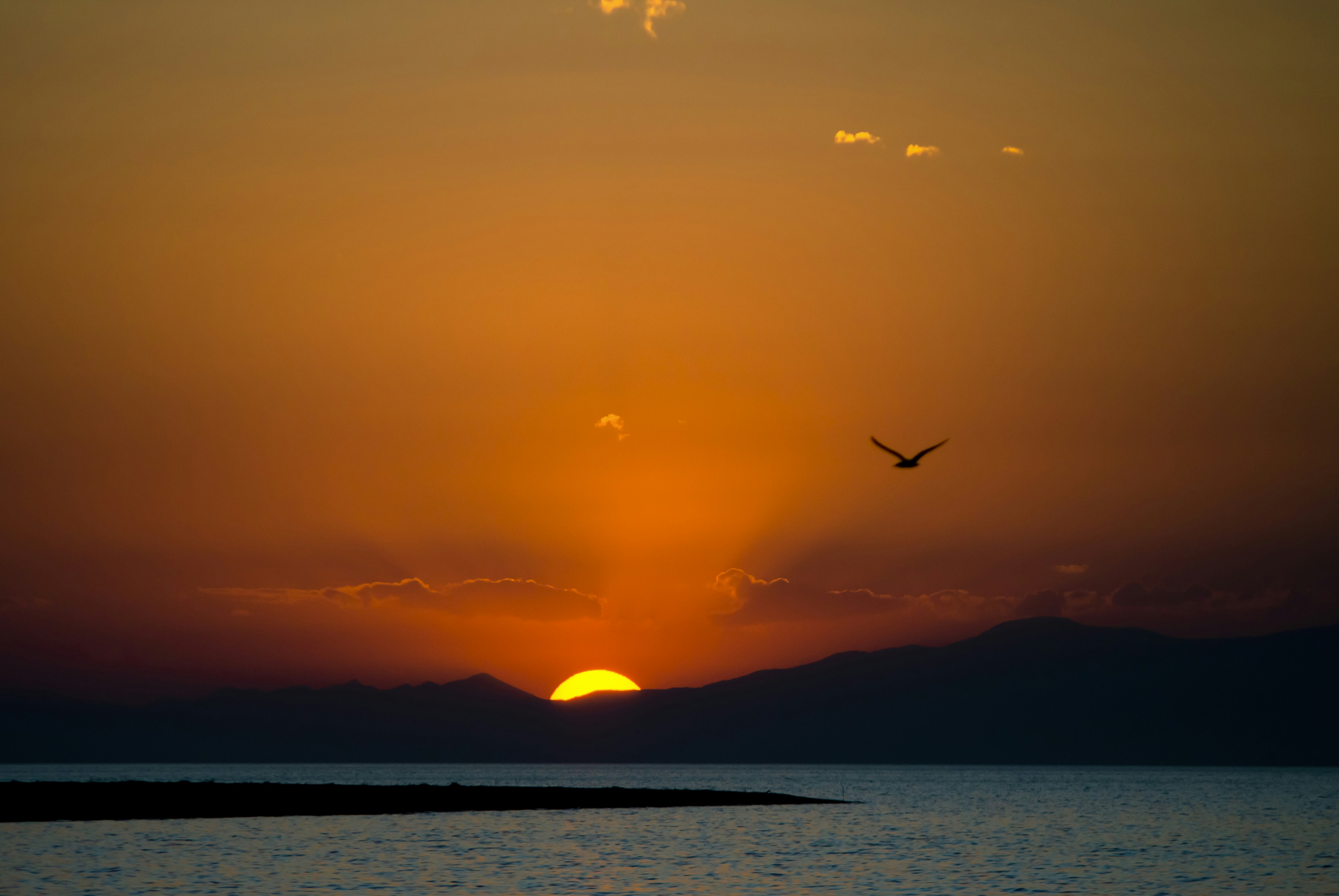 Kaleiçi Old Town Festivali’nde Güneş Baskı ve Heykel Atölyeleri Sanat Severlerle Buluştu - Kültür-Sanat haberi görseli