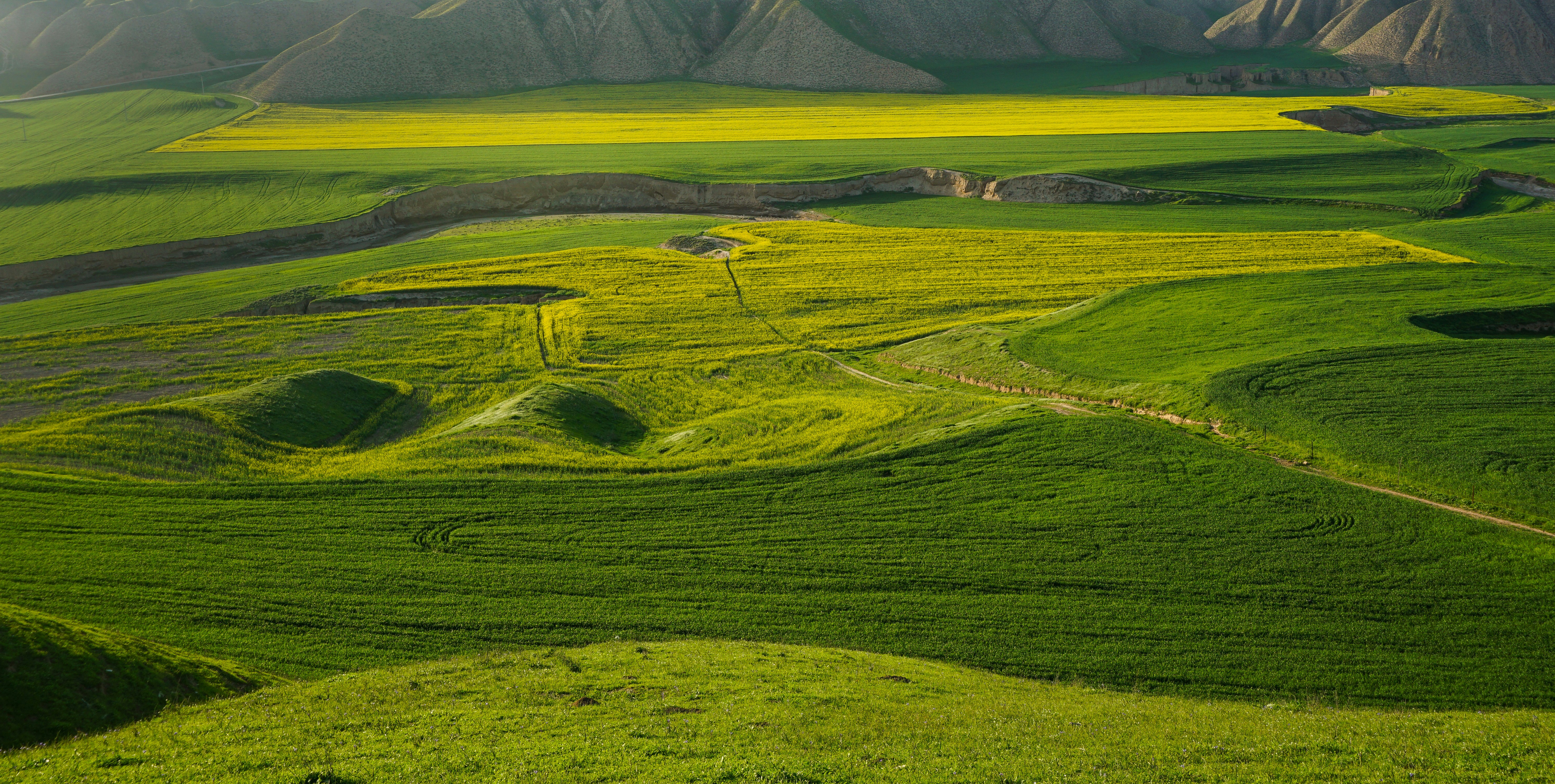 Photo by mojtabahoseini