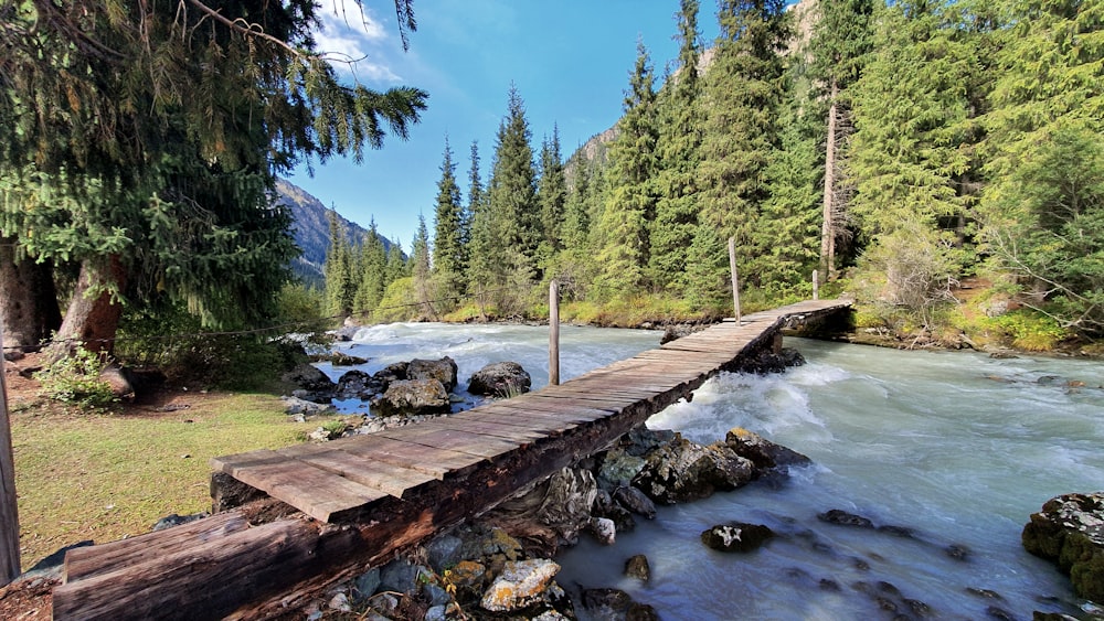 photo of river and brown wooden boardwalk