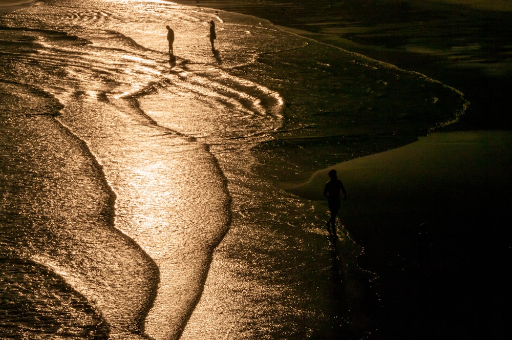 Sepia-Foto von Menschen am Meeresufer