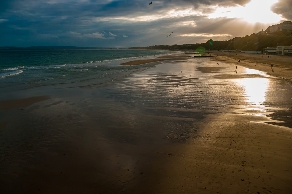 Paysage de bord de mer