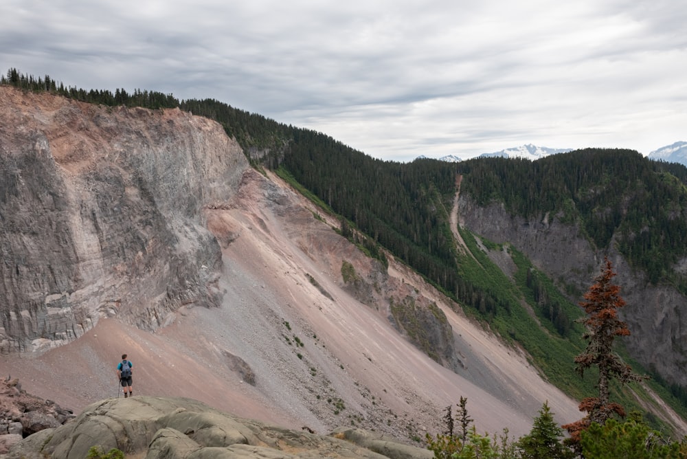 a man standing on top of a mountain next to a forest