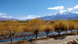 A serene landscape with a row of trees with autumnal foliage lining a river. In the background, towering snow-capped mountains rise against a clear blue sky. Colorful prayer flags are strung between the trees, adding a vibrant element to the scene. A road runs parallel to the river in the foreground, casting shadows from the trees.