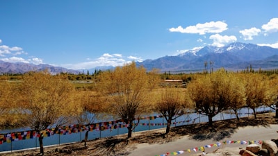 A serene landscape with a row of trees with autumnal foliage lining a river. In the background, towering snow-capped mountains rise against a clear blue sky. Colorful prayer flags are strung between the trees, adding a vibrant element to the scene. A road runs parallel to the river in the foreground, casting shadows from the trees.