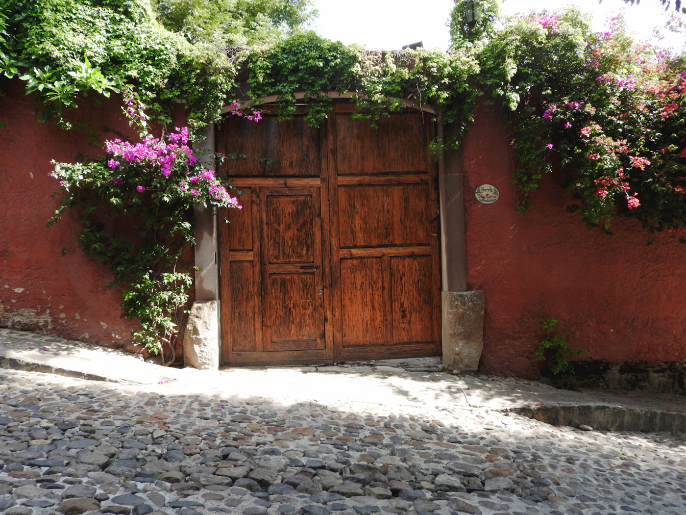 A wooden hacienda door in San Miguel de Allende surrounded by blooming pink bougainvillea on a red-painted colonial wall with cobblestone street below