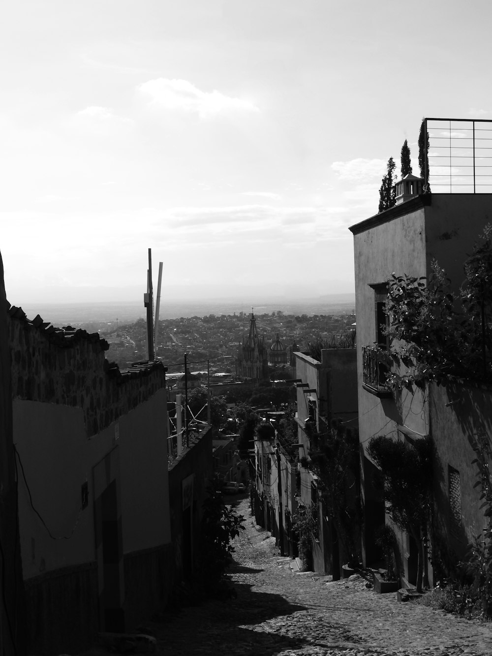 grayscale photo of alley between houses