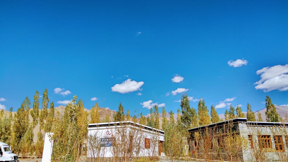 grey concrete house