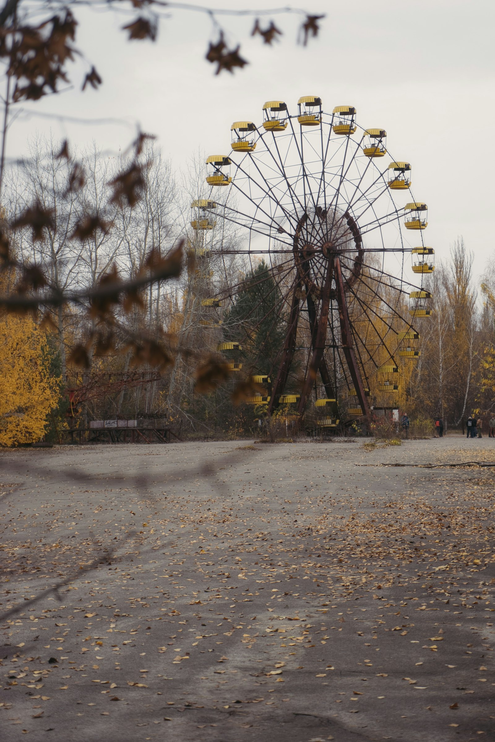 Sony a7 + Sony Vario Tessar T* FE 24-70mm F4 ZA OSS sample photo. Ferris wheel photography