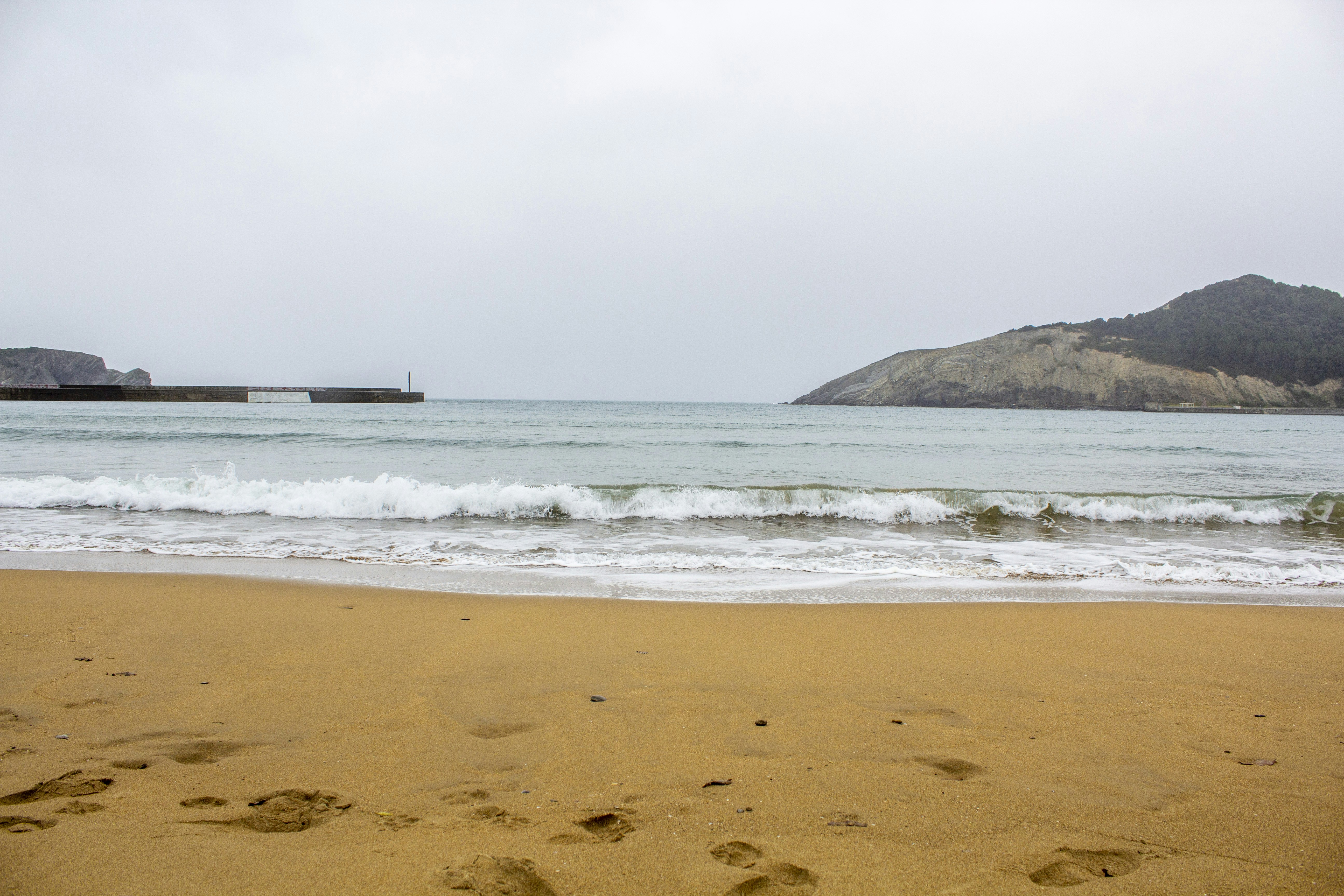 sea waves on shore