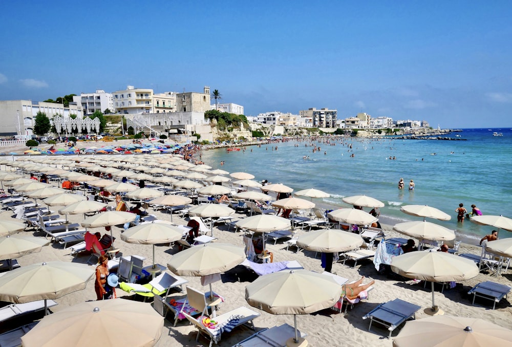 people on beach during daytime