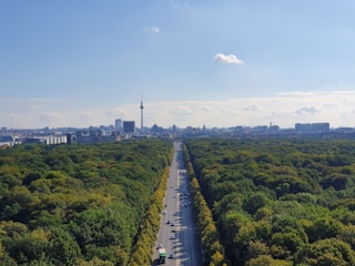 bird's eye view of a highway surrounded by trees