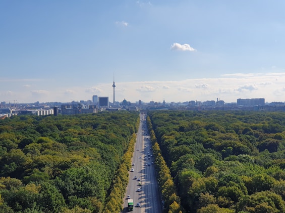 bird's eye view of a highway surrounded by trees