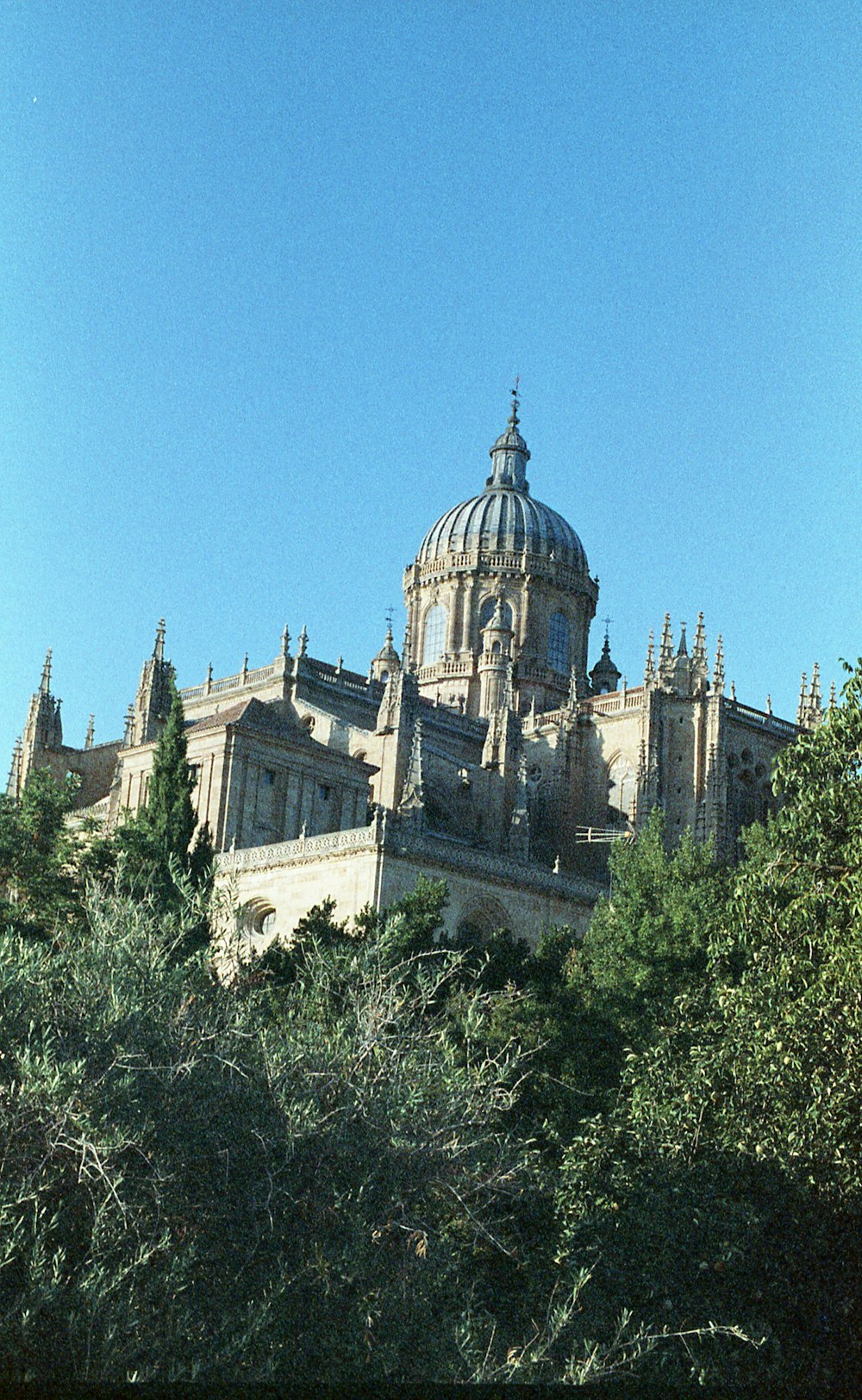 Graues Schloss und Bäume tagsüber