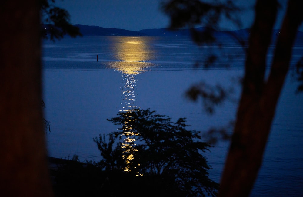 body of water with reflections of moonlight