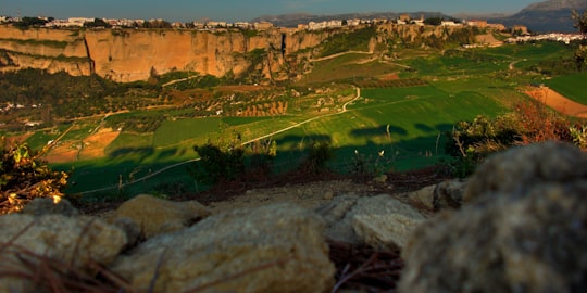 landscape photography of green and brown mountain in Ronda Spain