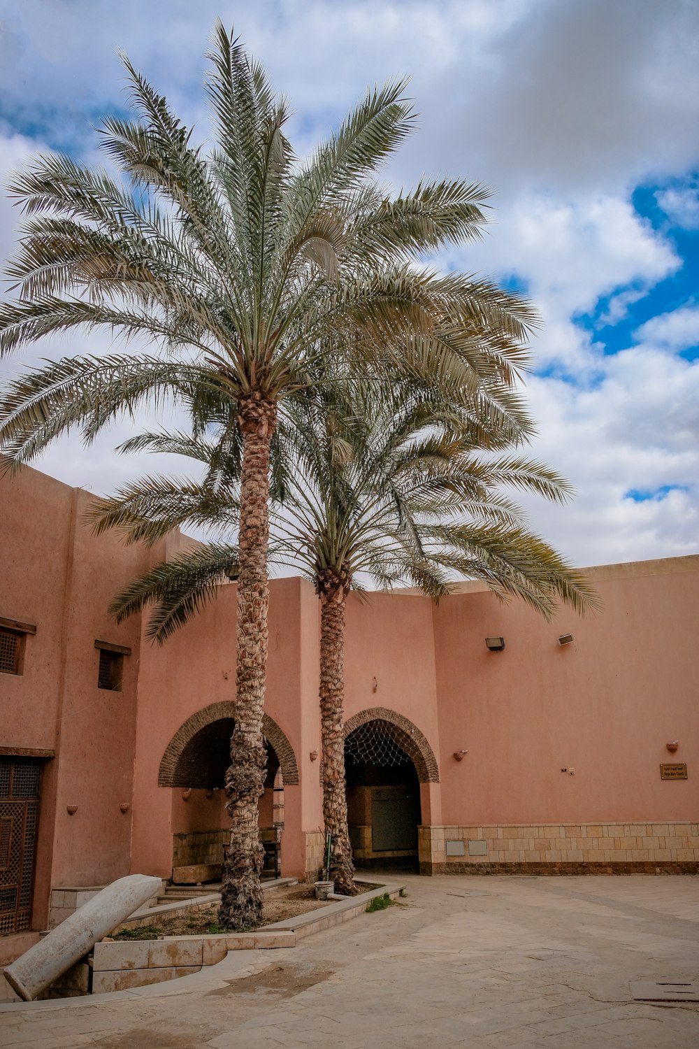 two green palm trees