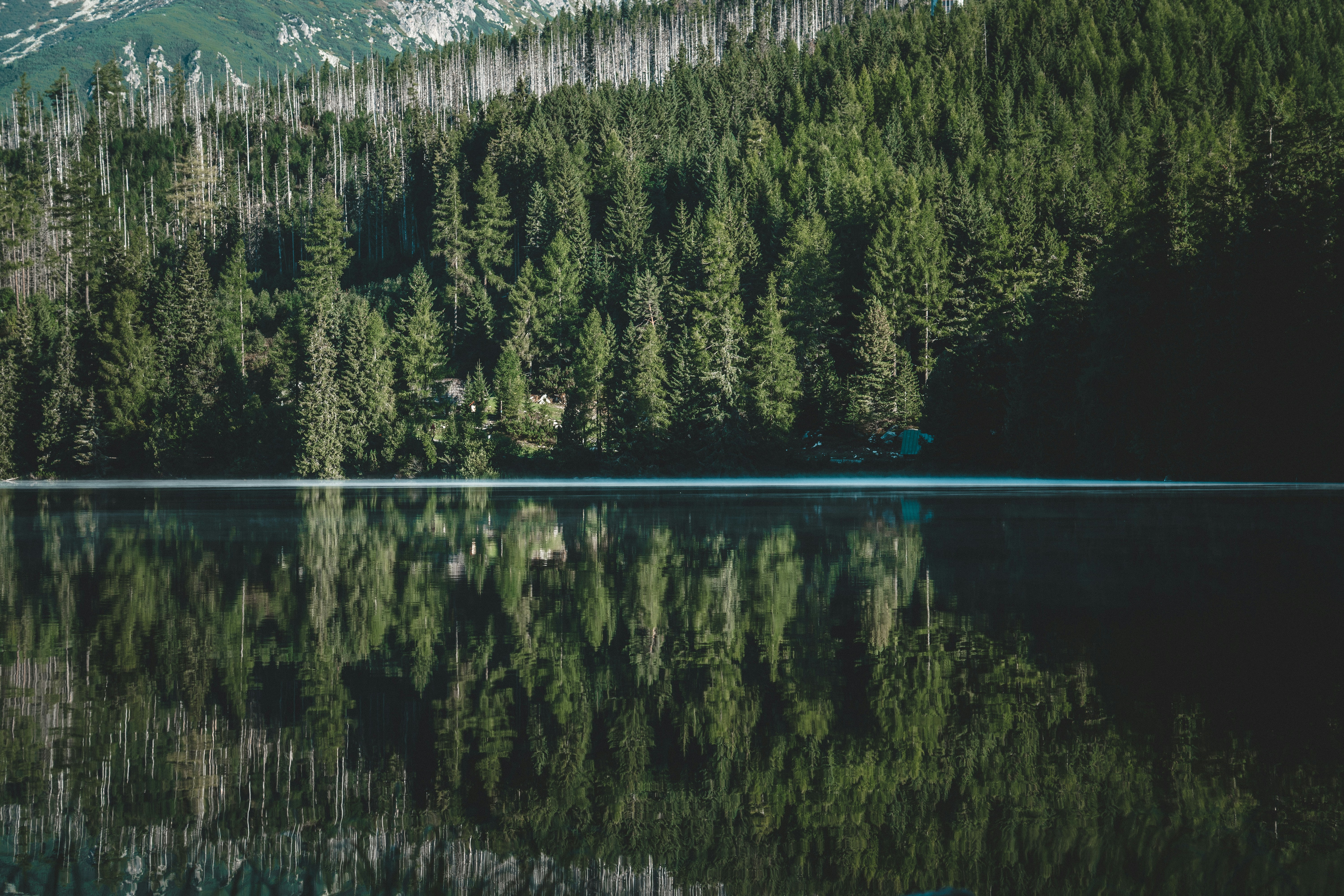 Photo by ballaschottner