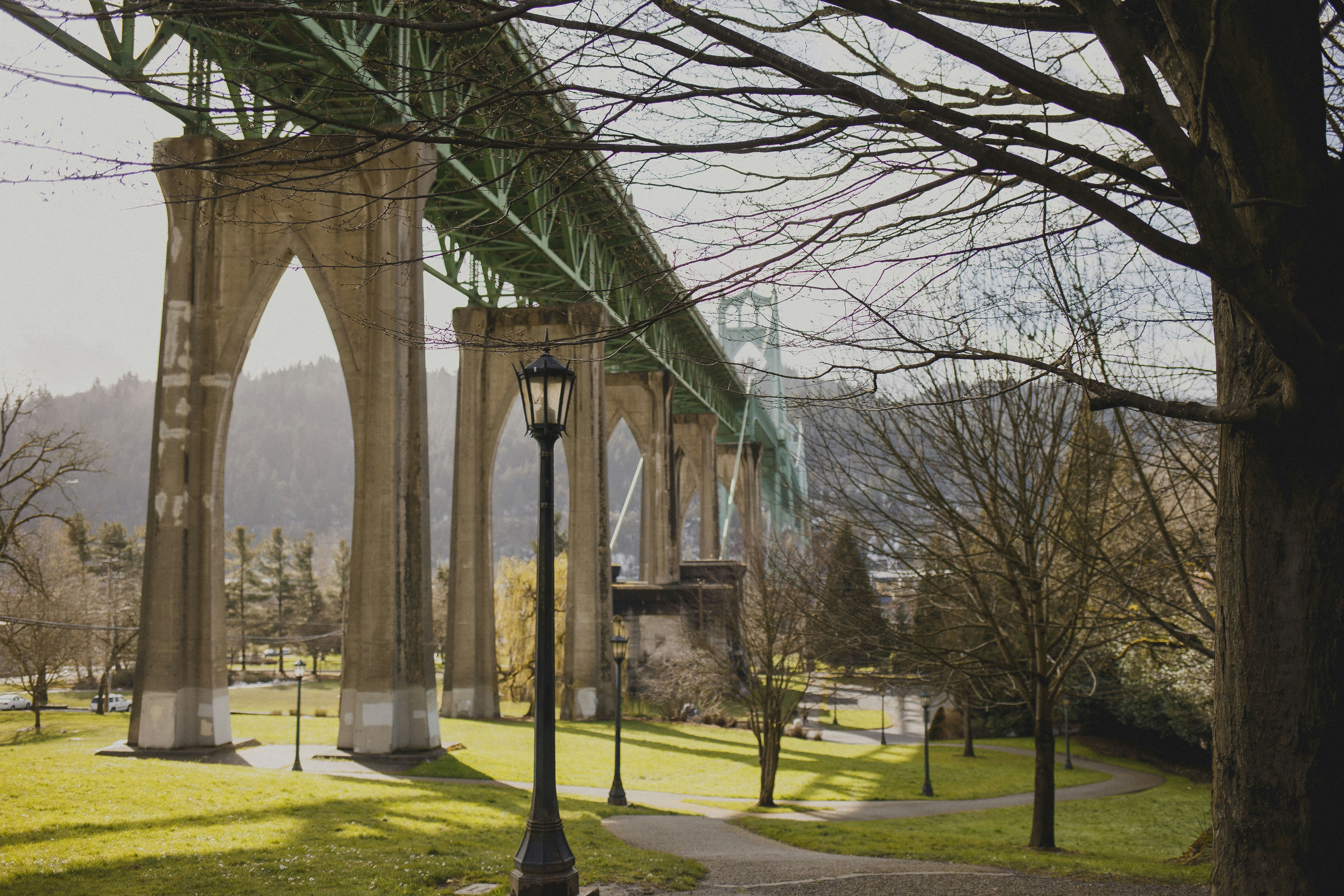 trees near lamp post