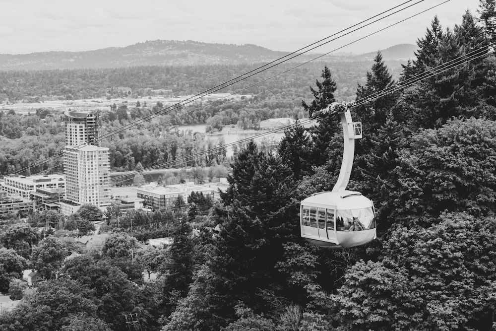 cable car near tree