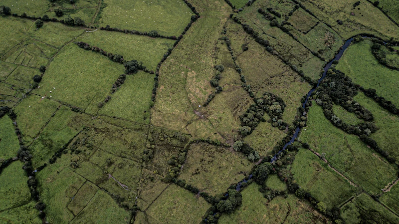 Vue aérienne de parcelles agricoles et de leurs accès