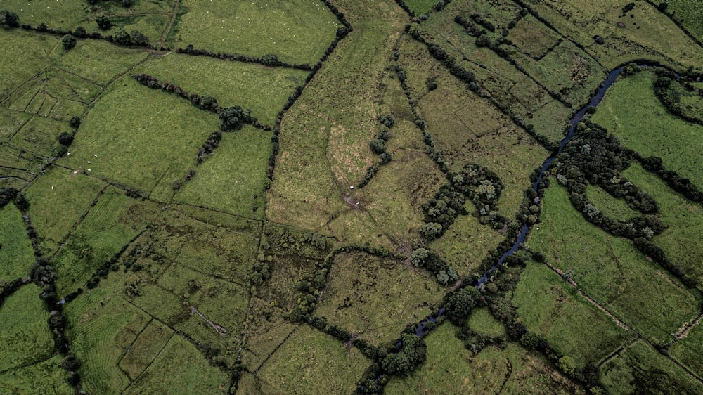 aerial photography of green fields