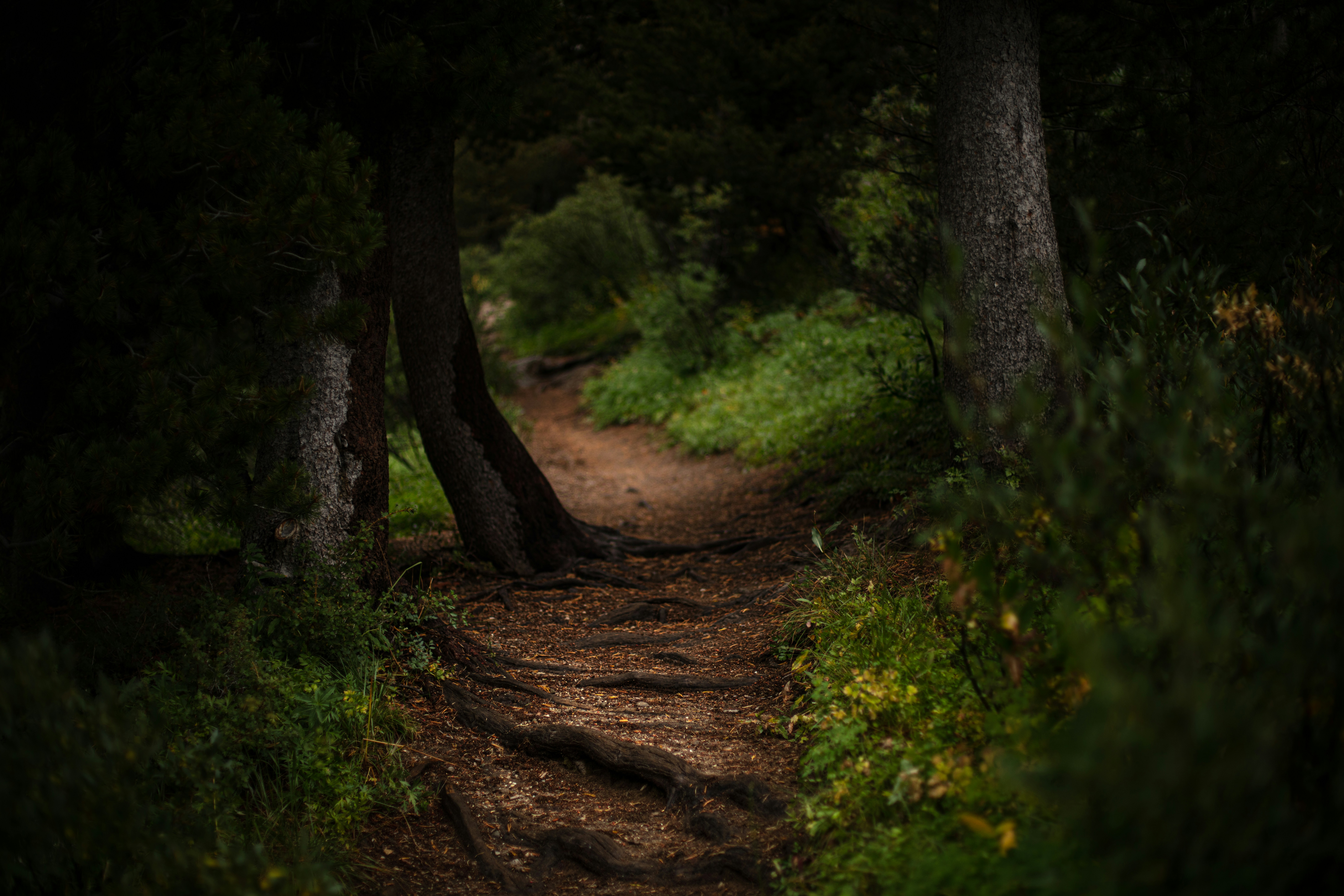 Photo by worldsbetweenlines