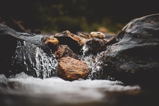 Close-up of crystal-clear spring water flowing over smooth stones.